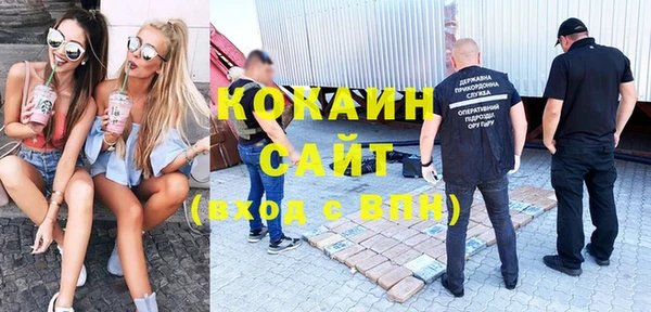 apvp Вяземский