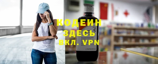 apvp Вяземский