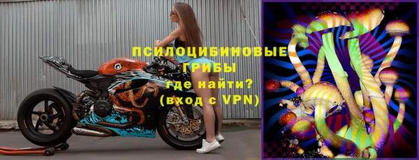 2c-b Горнозаводск