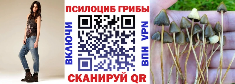 Галлюциногенные грибы Psilocybe  Муром 