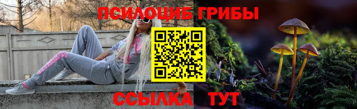 Псилоцибиновые грибы Psilocybine cubensis Муром